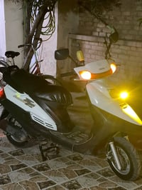 فراشة • نضيفة • شهربان