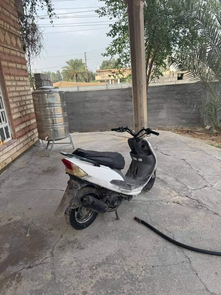 منغولي • تبخير • ناعمه