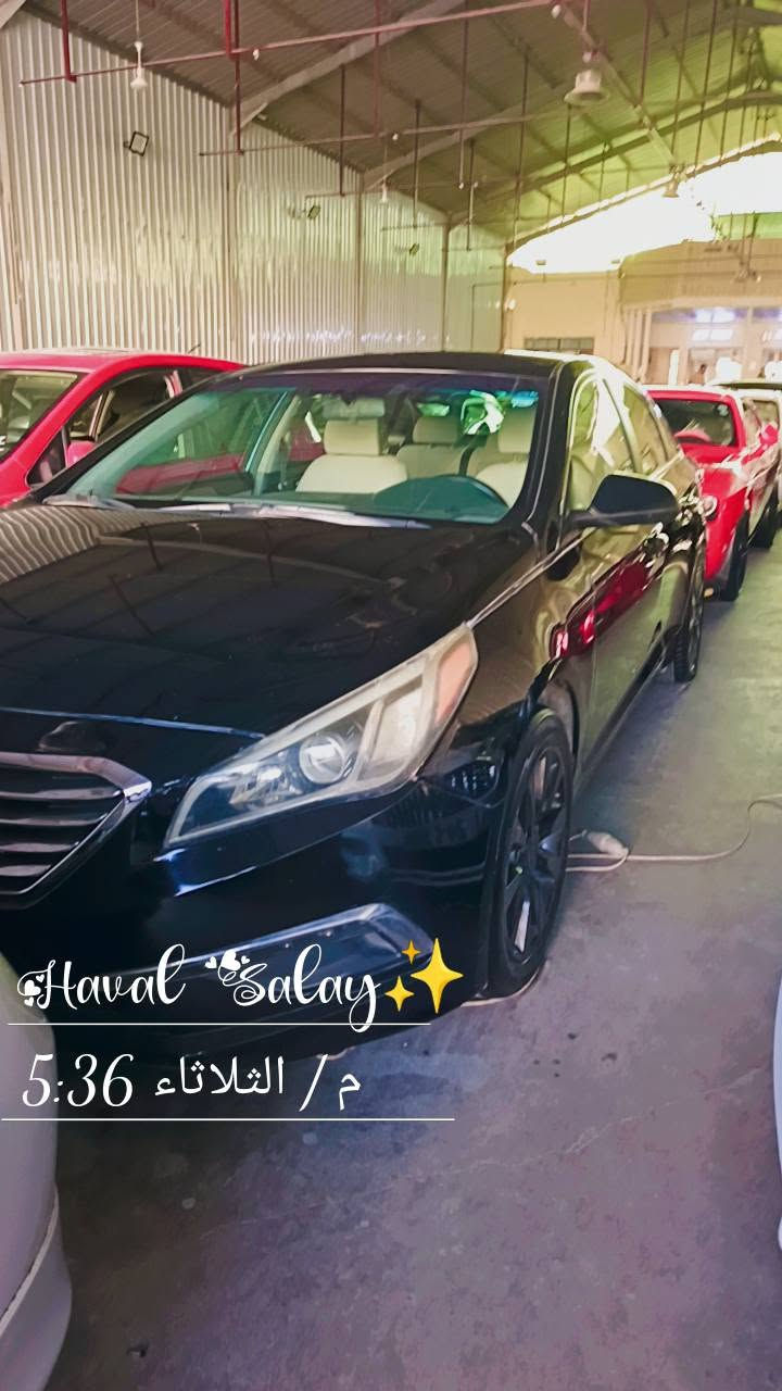 مودیل ٢٠١٥
*********** أربيل, العراق
