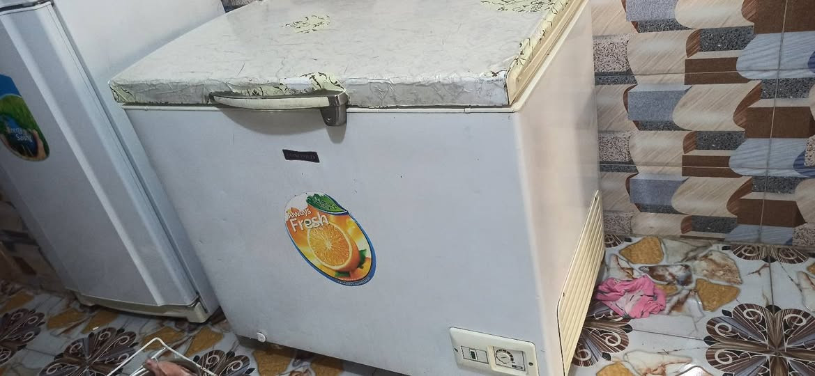 مجمدة كونكورد • ١٢ قدم • نضيفة