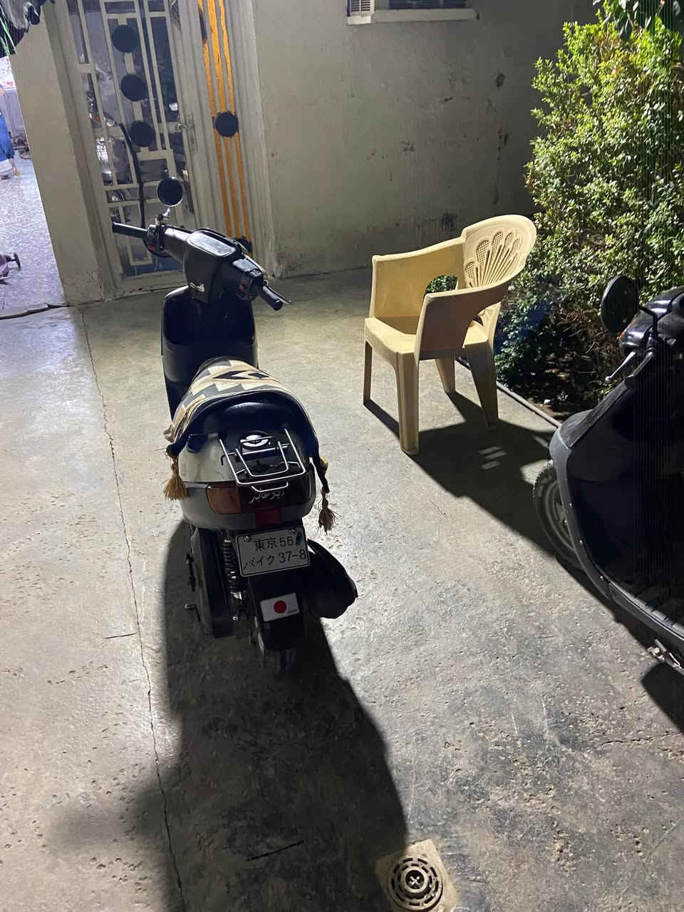 بطة • ٢٠٠٠ • سلف