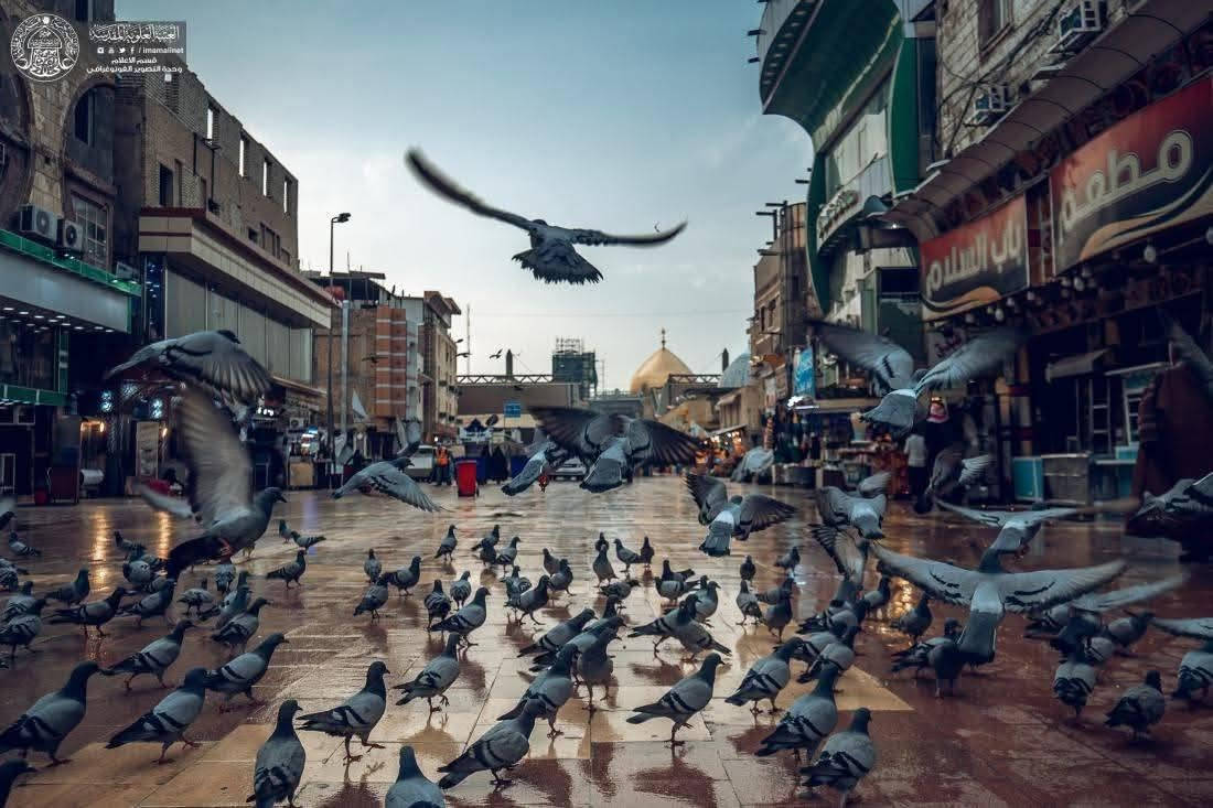 #فقط 5 الالاف دينار 🌹🌹 للعوائل فقط
#حملة_اهل_البيت عليهم السلام لزيارة العتبات المقدسه
1-النجف الإشراف 
2-مسجد الكوفة
وقت الانطلاق الساعة 1ضهرا 
يوم الجمعه ان شاء الله 
للحجز والاستفسار الاتصال على الواتس اب والتلي
***********
***********
،،،،،،،،،،،،،،،،،،،
بادارة خادمكم صادق ابو سراج 
العنوان الديوانية /حي الصدر الثالث 
ومن الله التوفيق
