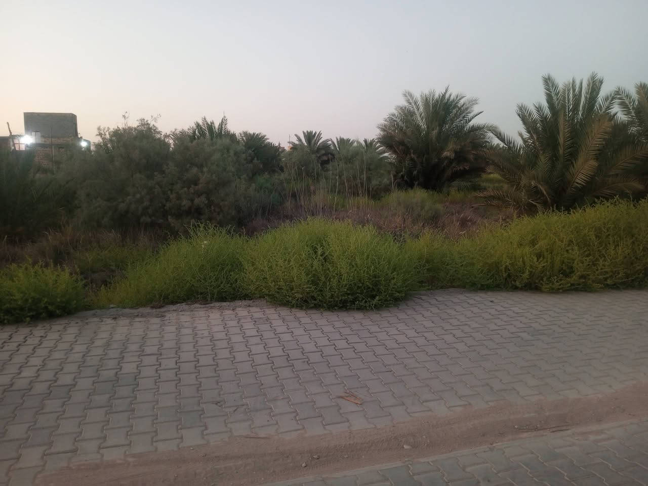 قطعه للبيع  300 متر  خلف الملعب القديم شارع الصادق كافة الخدمات ‏‪***********‬‏
