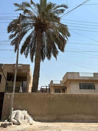 حي البنوك • ١٢٠م • جاهزة للبناء