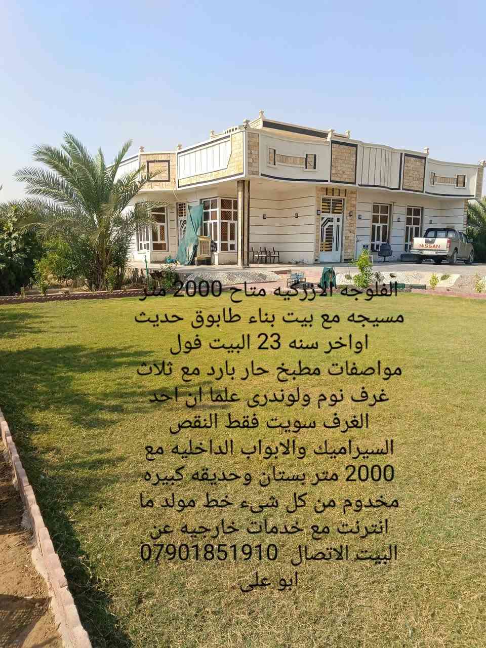 الفلوجه الازركيه • ٢٠٠٠م • سند ٢٥