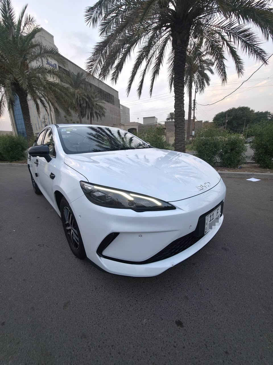 فلاكشب • ٢٠٢٥ • داخل ابيض جلد