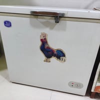 مجمدة • نضيفه • ٨٠سم
