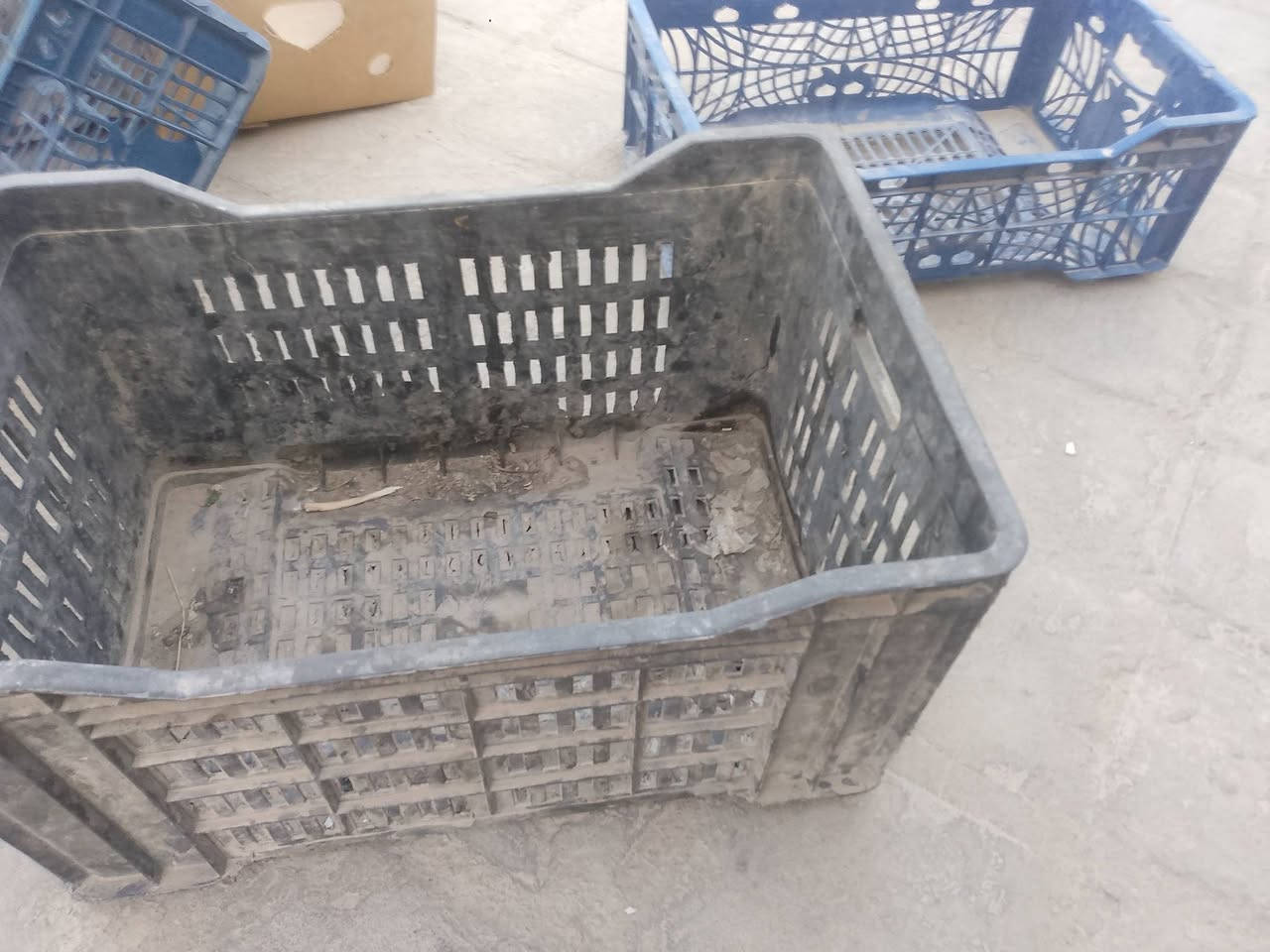 يوجد عندي صناديق شطح وشبح نظيفات 
كمية مكاني حله مركز
***********
