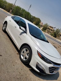 ماليبو LS • ٢٠٢٤ • رقم بابل