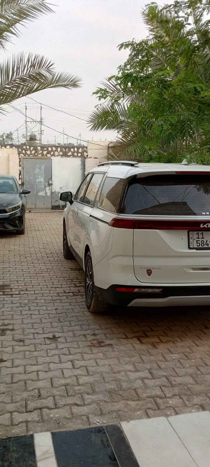 كرنفال 3.5V6 • ٢٠٢٣ • رقم بغداد