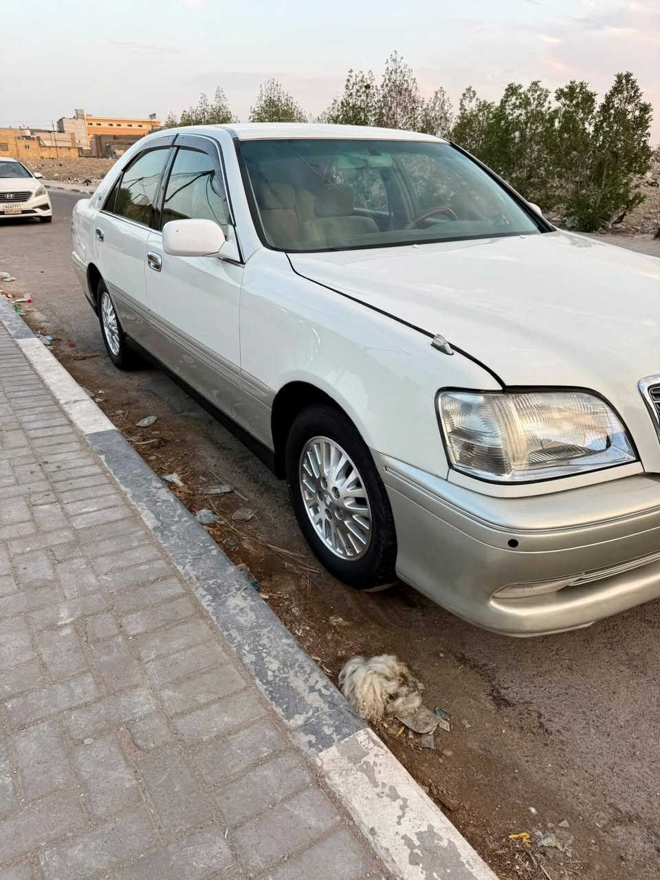 محرك فيفيتي • خضراوية • بصرة