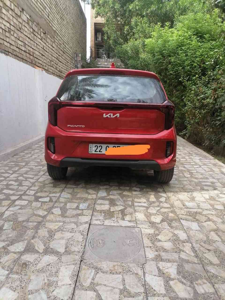 بيكانتو ٢٠٢٤ • خليجي • رقم أربيل