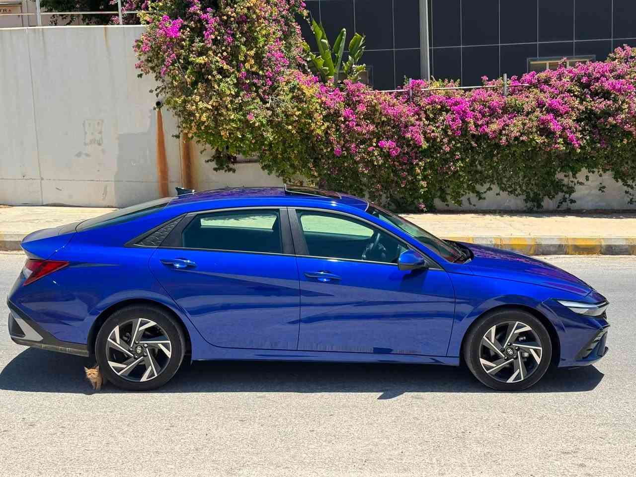 هونداي النترا  2024 السياره موجوده في بغداد للتواصل ***********

نص مكتوب في الصور:
- 98812295
- 98812295X