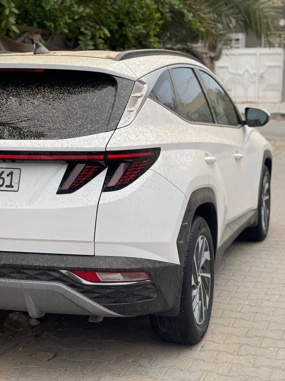 توسان • ٢٠٢٤ • عداد دجتل