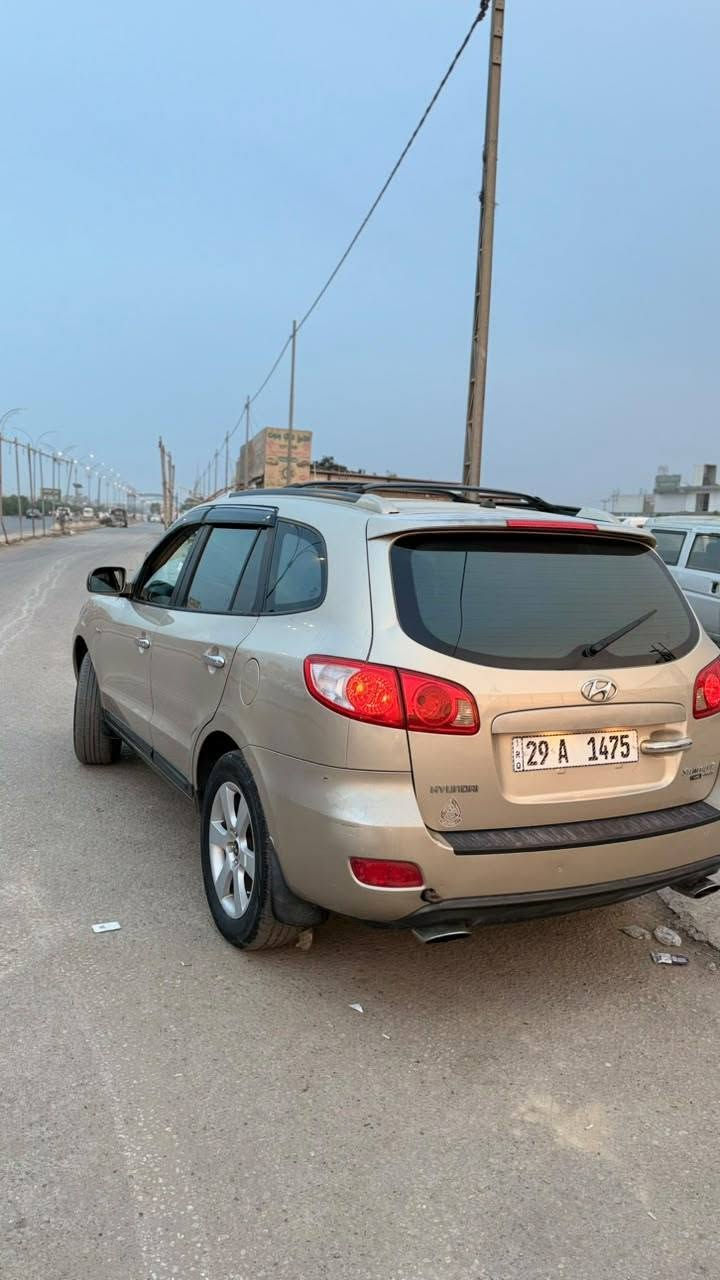 سنتافيا • ٢٠٠٧ • رقم واسط