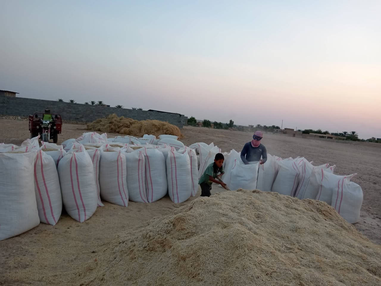 سعر الشل 2500
المكان البيضه
يوجد توصيل عنه راوه حصيبه
الكميه خير من الله شرط النضافه
اتصل ***********)
(***********
