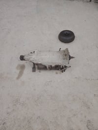 بابل • جنت شاده • شغال