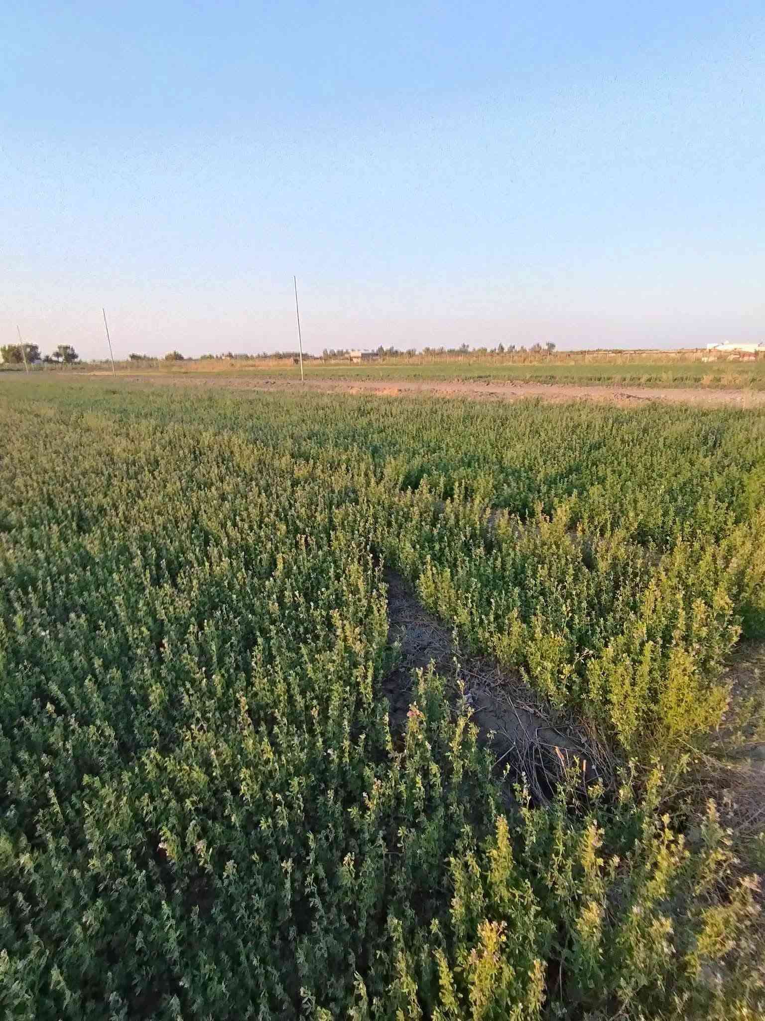 السلام عليكم يوجد9 دوانم التاجي منطقة الشيخ عامر  موقع كلش حلو
تبحث عن الهدوء والابتعاد عن زحمة المدينة والضوضاء؟  لدينا الحل! دوانم طابو زراعي سنة 25، تحويل وفتح بيان مباشر باسم المشتري، وبدون دفع أي فلس إذا لم ينفتح البيان باسمك وتستلم سند 
 _الموقع_:
- الدوانم كلها بالقرب منها مزارع وشاليهات وفلل 🏠
- مواقع مرتبة وكلش راقية 💯
- أرض خصبة 
- مثالية للسكن والاستجمام 🌳
- دوانم الك ولعائلتك لإنشاء المزرعة او مكان للترفيه 🏞️
💰 _الأسعار_:
-سعرالدونم 45وبي مجال 
🌟 _فرصة استثمارية_:
- للسكن 🏠
- للزراعة 🌾
- لبناء مزرعة لك ولعائلتك 🏞️
ثاني يوم فتح بيان 
ليحب ياخذ لوكيشن الارض يتصل ويدلل 

📞 _للاستفسار***********
