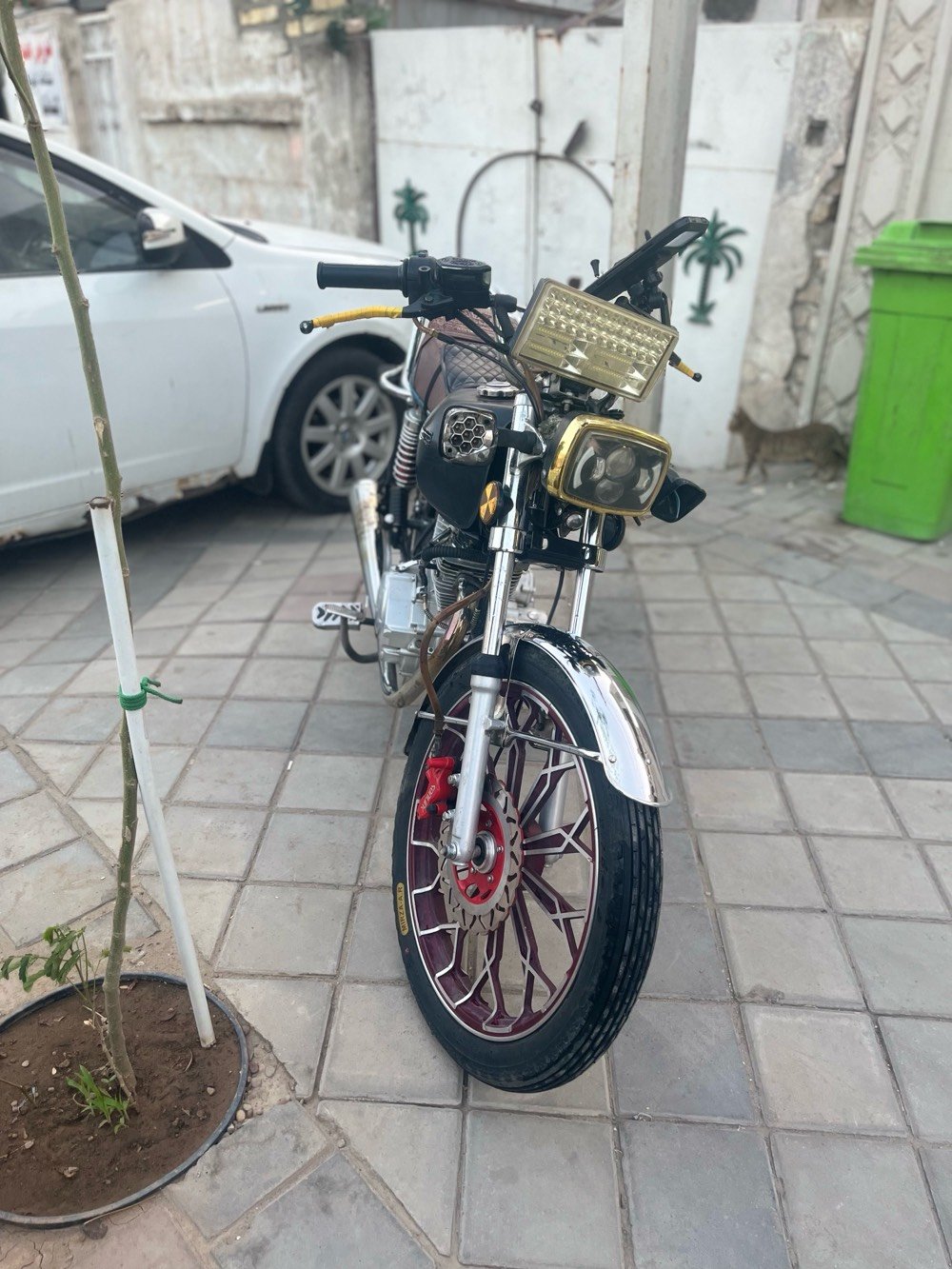 سيفان • ٢٠٢٤ • اوراق ضايعة