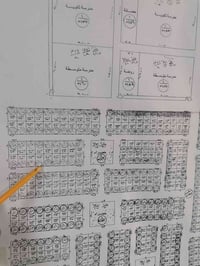البطليه • نص قطعة • سعر مناسب