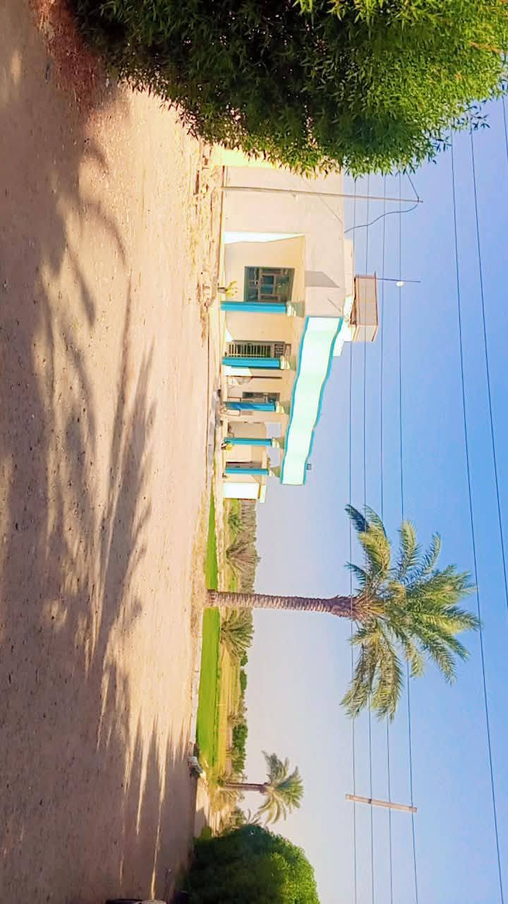 دونم ونص • ٥ محلات • طابو زراعي