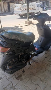 فراشة • فحل • سلف هندر