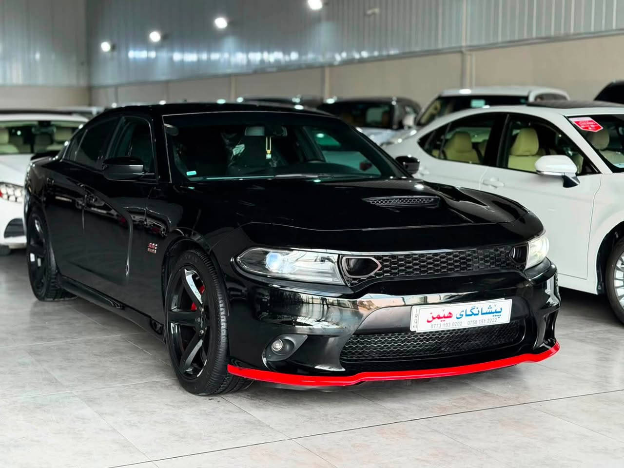 ﷽
‎‏                    DODGE CHARGE 2017 R/T
◽️دوج جارجر موديل 2017 R/T
فول مواصفات ماعدا فتحة
🔹لون ( اسود قتران ) 
~~~~~~~~~~~~~~~~~~~~~~~~~
◽️مكان🌆:سليماني                    سعر💵: 173$🔐
تليفون☎️: ***********
                 *********** واتساب
~~~~~~~~~~~~~~~~~~~~~~~~~
◽️محرك V8 5.7L تمانية سلندر🔥🚀
🔹گير و محرك بشرط
🔹بدون صوت بدون صرف بدون خلل بشرط فحص
🔹ماشية 67 الف حقيقي

◽️سيارة كامل محدث هيلكات🔥  
🔹 بيها برمجات شاشه و گيج و صوت صالنصا 🔥🔥
🔹محدث بنيت و دعاميات ويل و لحيات و دوسات سبايدر دفيوزر كل محدث هيلكات 🔥

▫️سيارة داخل بلعرق كلين تايتل
🔹 صار بلعراق ( جملغ خلفي عكس سايق صبغ بدون دواخل و بونيد محدث هيلكات) 
🔹ايرباگ راجع سيستم بيلادي شرط
🔹سيارة حيل حيلوة جديد  

◽️مواصفات فول مواصفات
( بصمة - شاشة كبير - تشغيل عن بعد - كشن تتفيئة - كشن خزن و كهربا - پادل شفت - كاميرا - حصاص - ڤوليوم - تحديد سورعة - بلاجكتور - بعد )

◽️اربع تاير ويل جديد هيلكات
🔹نظافه ١٠٠٪؜ كامل سيرفس بدون نقص و بدون مصرف
🔹سيارة شرط بدون اى نواقص گير و محرك و حدادي و كاهرباى كولة بشرط
سنوي بأسمي تحويل غرامة بشرط سنويه جديد
~~~~~~~~~~~~~~~~~~~~~~~~~~~~~~~~
