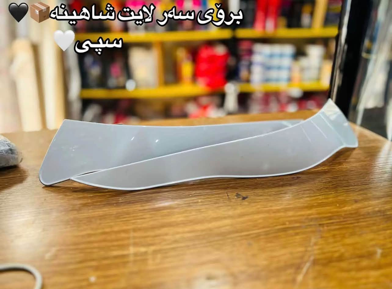 شاهينا بيلاد • غطاء سقف • ستيل