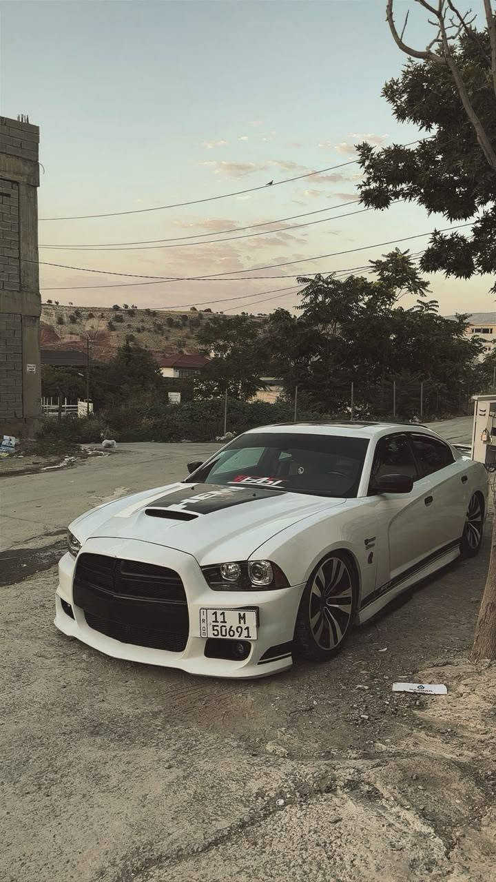 السلام عليكم جارجر 8سلندر2014  srt فول مواصفات مأويه سلايت بصمه شاشه كبيره كير طياره كشافات صالنصات خلفيه رياضيه صالنصه كاتم نضام  بيئه جكات مجول امريكيه سياره جاهز مبيهه اي نقص حادثهه جاملغ وبنيدكشنات جلد وكهرباء السعر 150للاستفسار *********** بغداد, العراق

نص مكتوب في الصور:
- SERVICE SORAN
- Shaqlawa, Iraq