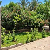 حي الجوادين • ٢٥٠م • زراعي مرقم