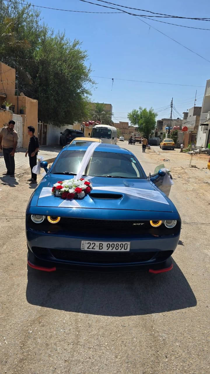 جالنجر • ٢٠٢٢ • ضربه خفيفه