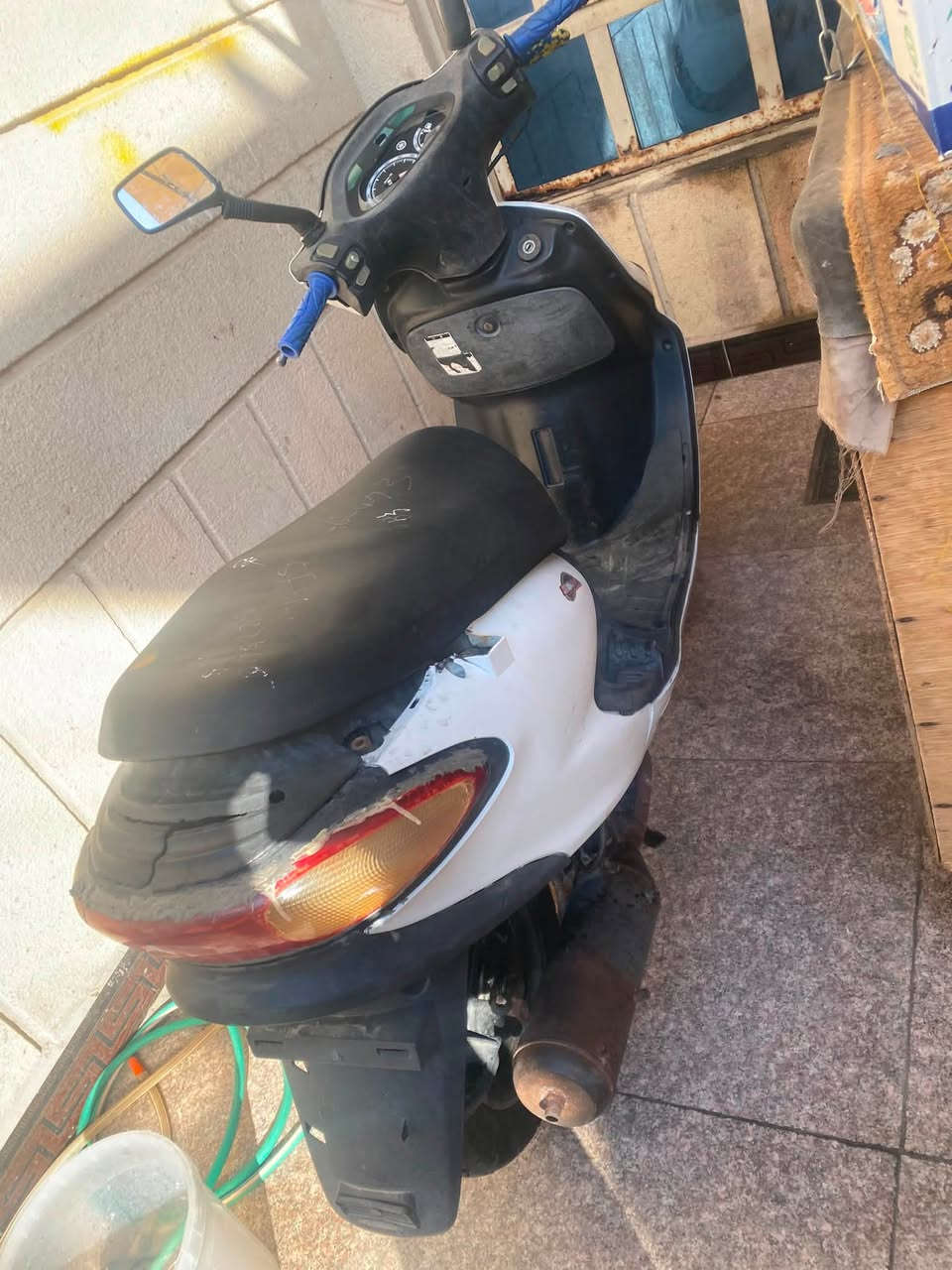 دراجه فراشه دولفين البيع دراجه ناعمه كلشي شغال بيه نكره سلف حلوه وكامله سعر 350عنواني البصره القبله رقمي ***********
