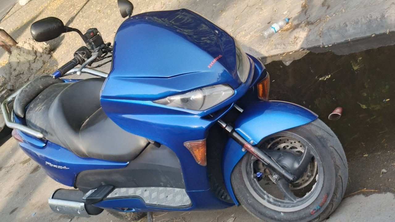 فورزا • ٢٠٠٨ • معمر