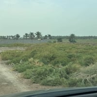 الشهابي الاولى • ٨٠٠م • طابو زراعي