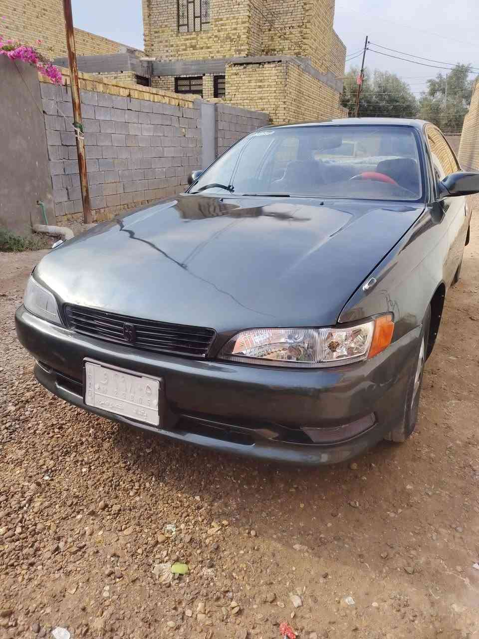 زيتوني • مصبوغة • تحويل مباشر
