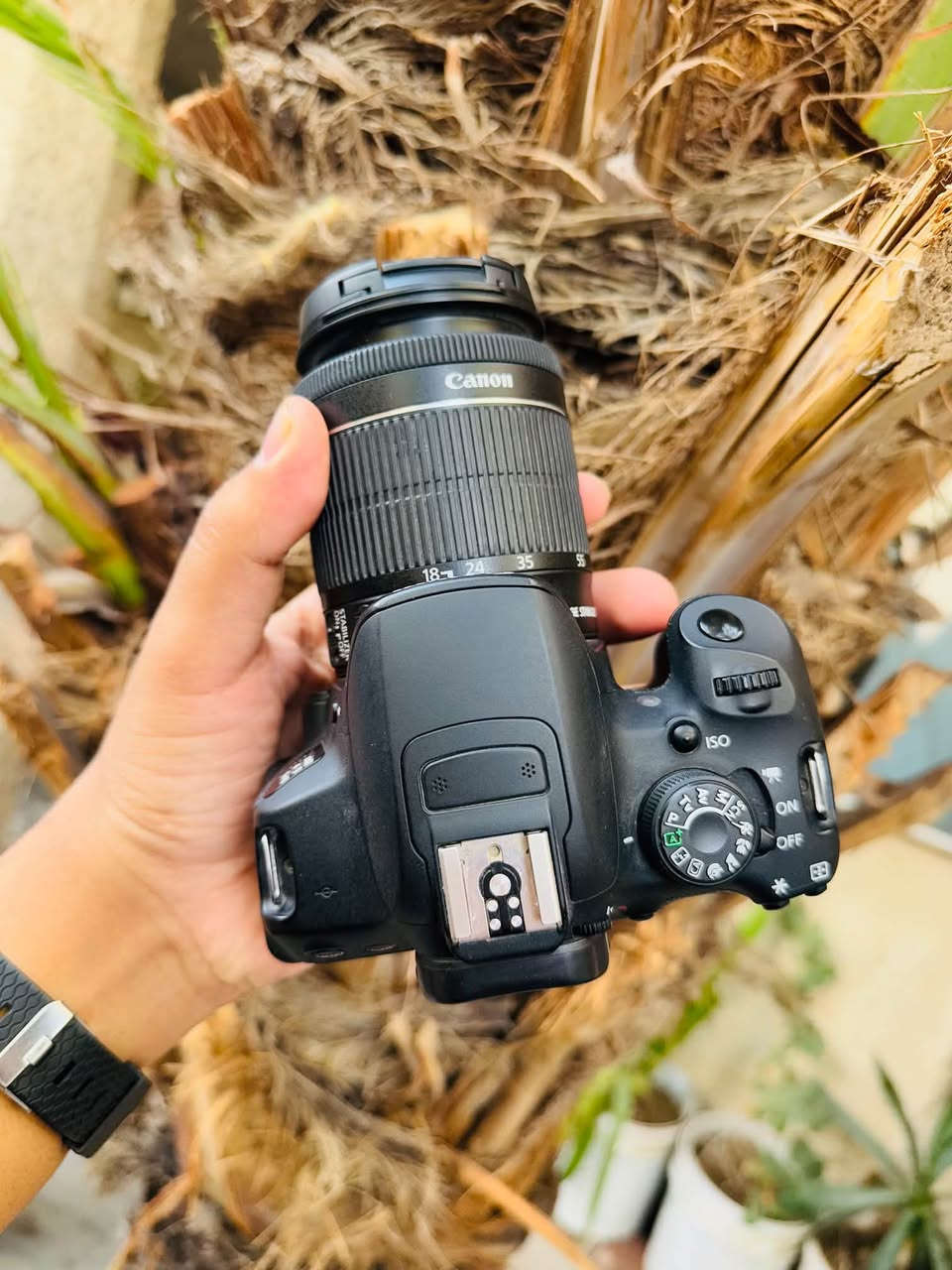 كانون 700D • عدسة 70-300 • عدسة 18-55