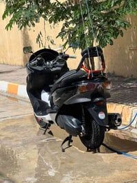 فورزا • حاوية • ٣١الف