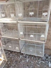 متاح قفص ابو الطير الأصلي ثقيل  قياس 60×40 شباب مكلف بالنشر اتصال على ...
