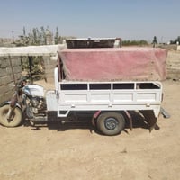 ستوته • بعيره • ٢٠١٥