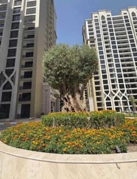 شقة ركنية • ٢٢٤م • بناية اكد