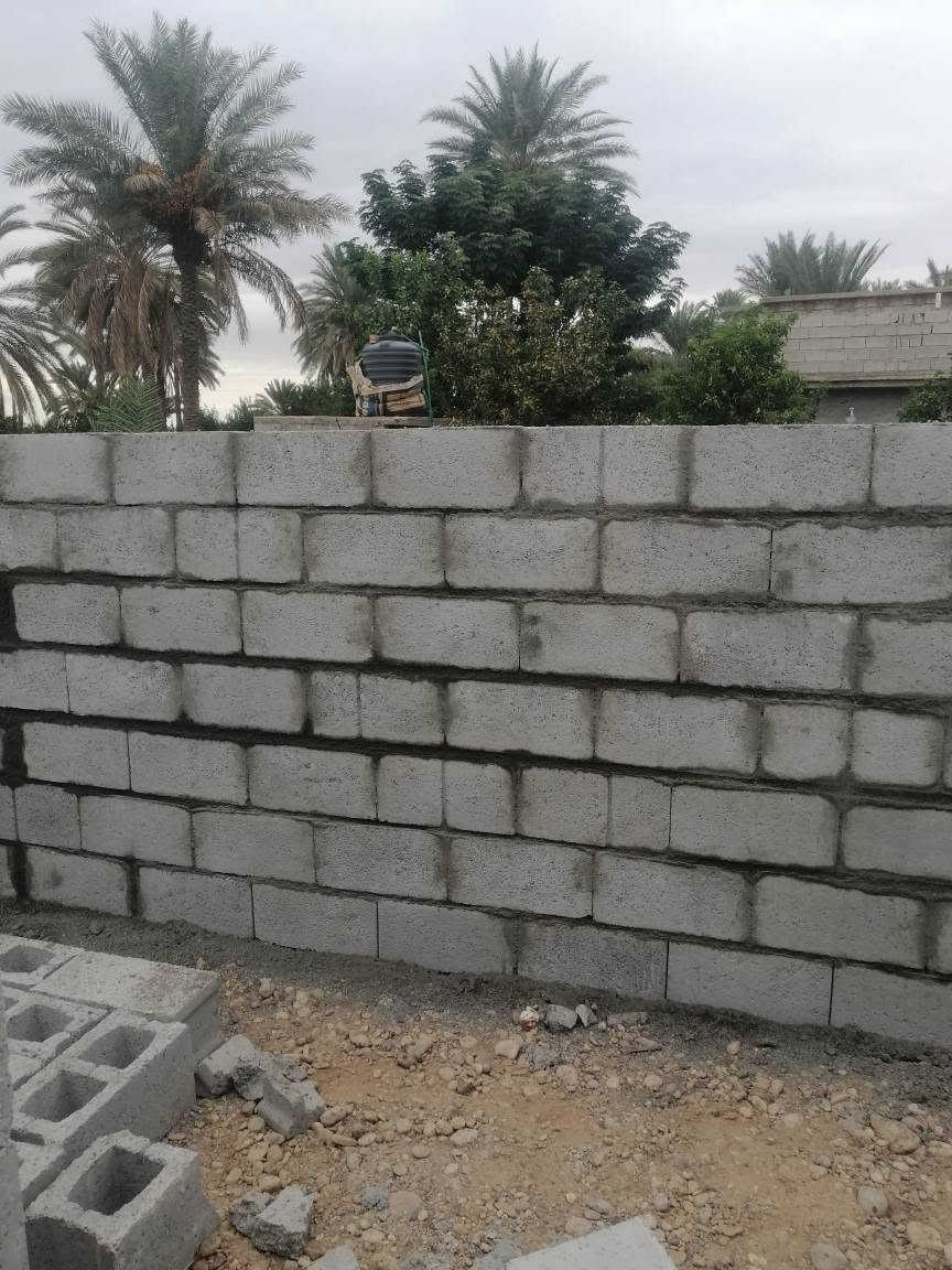 خلفة • متفرغ • حالين