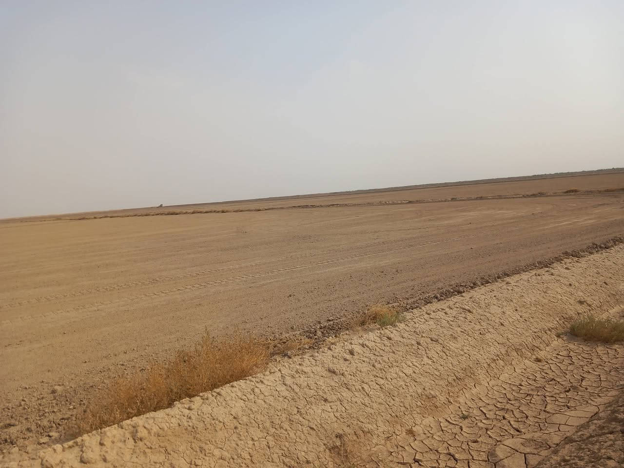 أرض زراعية • ١٠٠٠ دونم • الكوت طريق بدره