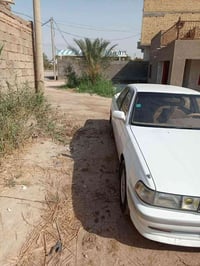 كرسته مسطره • باسمي • للبيع