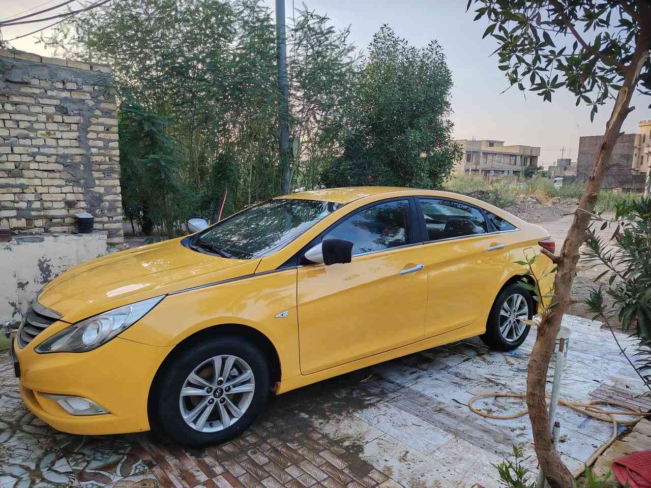 سوناتا ٢٠١١ • وارد كوري • كفالة عامة