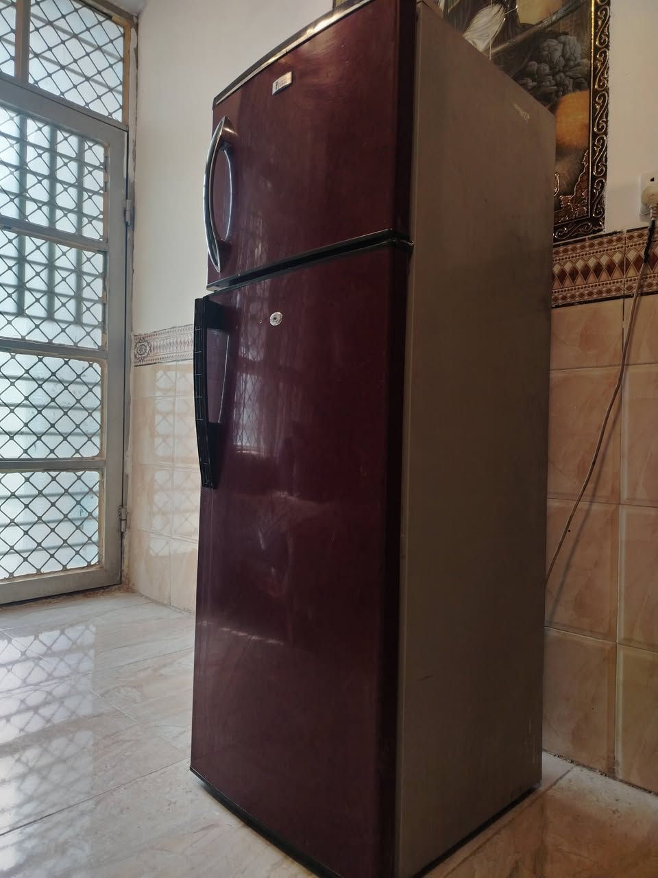 فول تجميد • عالفحص • غزالية