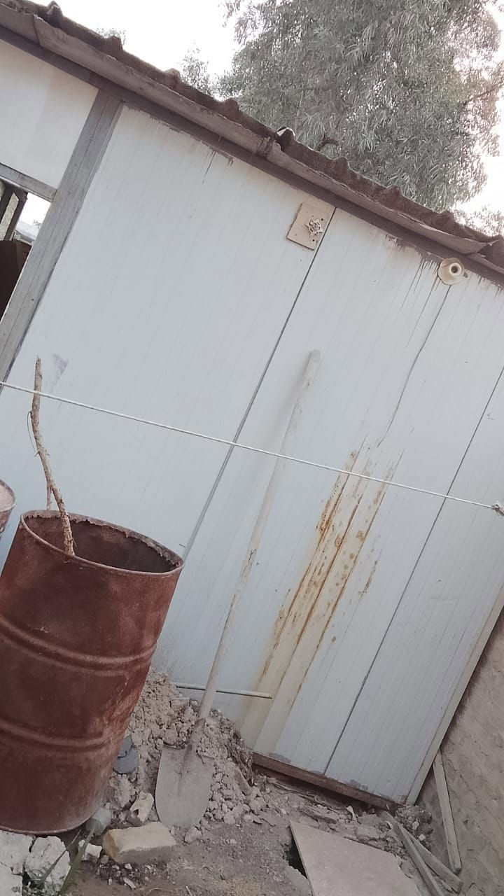 كرنفال
