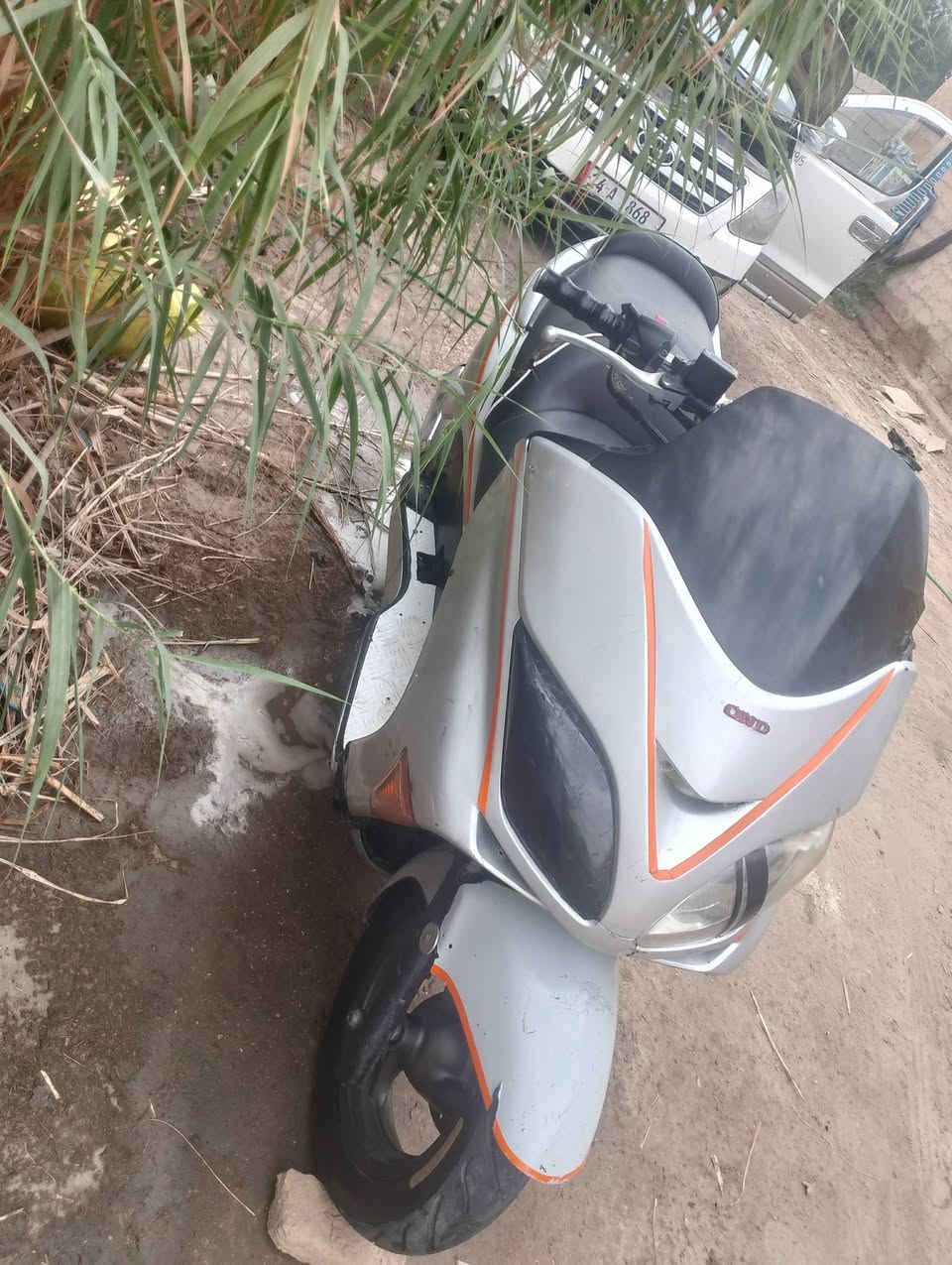 فورزه • بصمه • سلف
