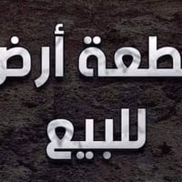 ١٠٠م • البلديات • مشمولة بقرار التمليك