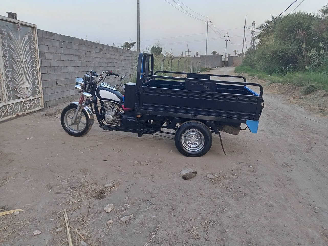 ٢٠١٦ • شاصي مكفول • كهرباء