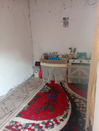 الناصرية • بيت زراعي • ١٠٠م